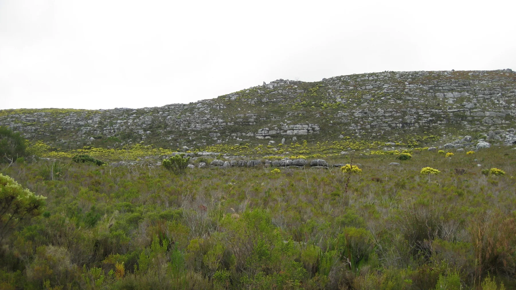 Low vegetation fills a broad area beneath a rocky ridge.