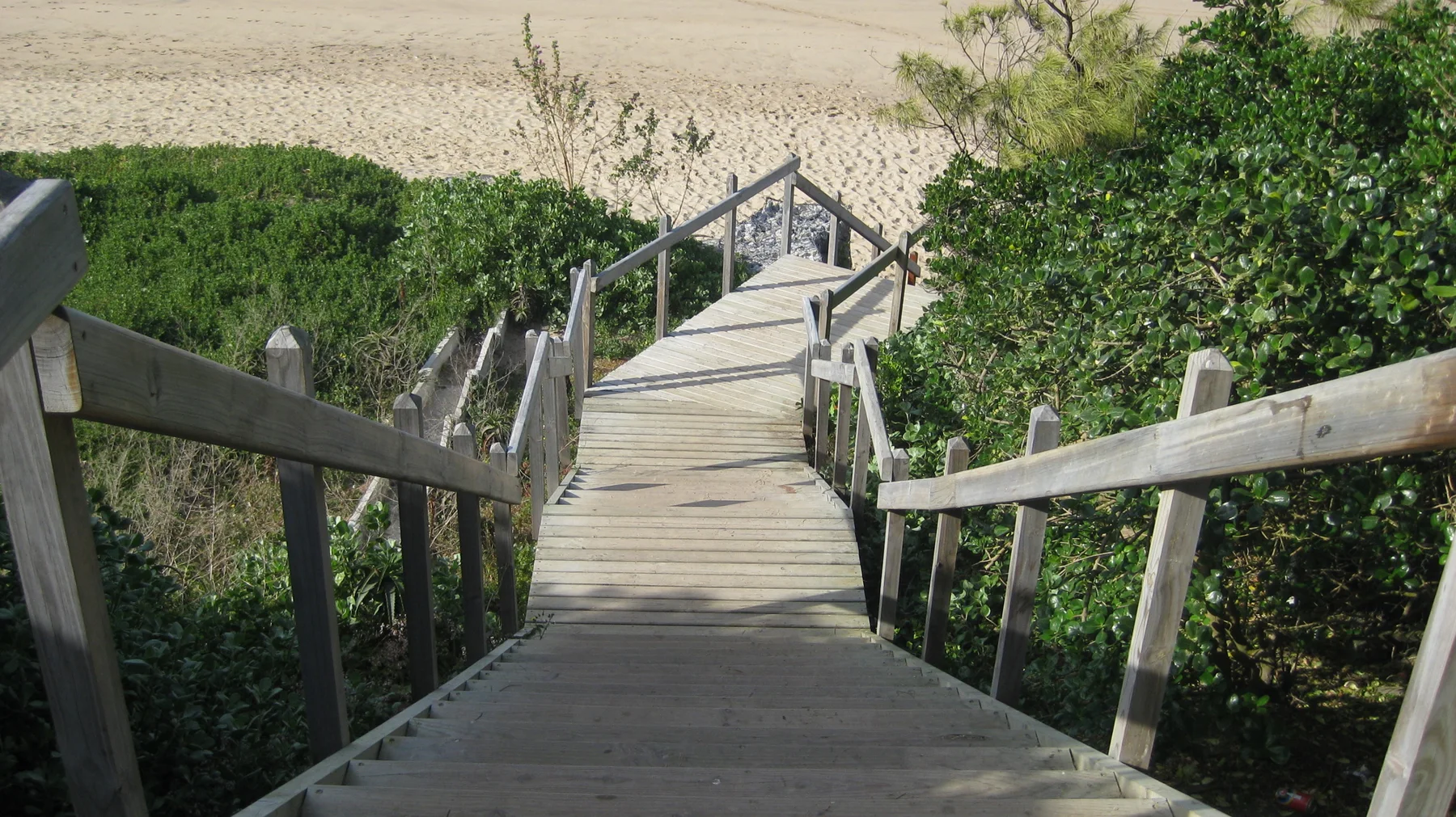 Wooden stairs descend through shrubs toward pale beach sand.
