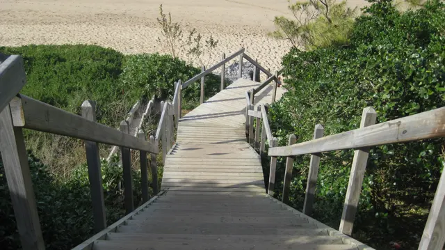 Wooden stairs descend through shrubs toward pale beach sand.