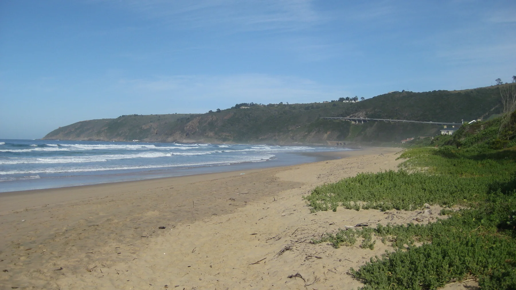 Green plants border a wide beach beneath a distant headland.