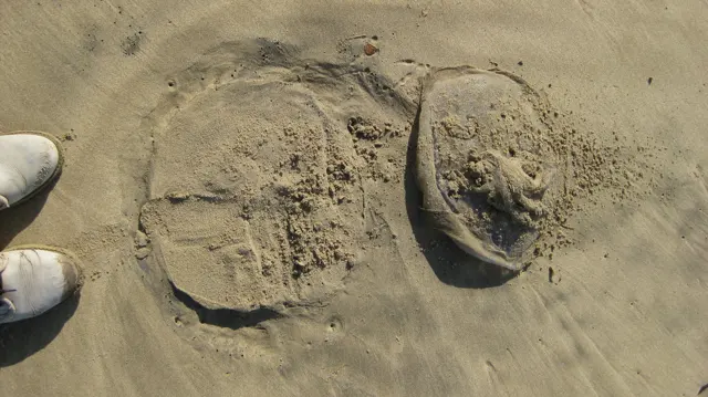 Two rounded impressions mark damp sand beside the tips of shoes.