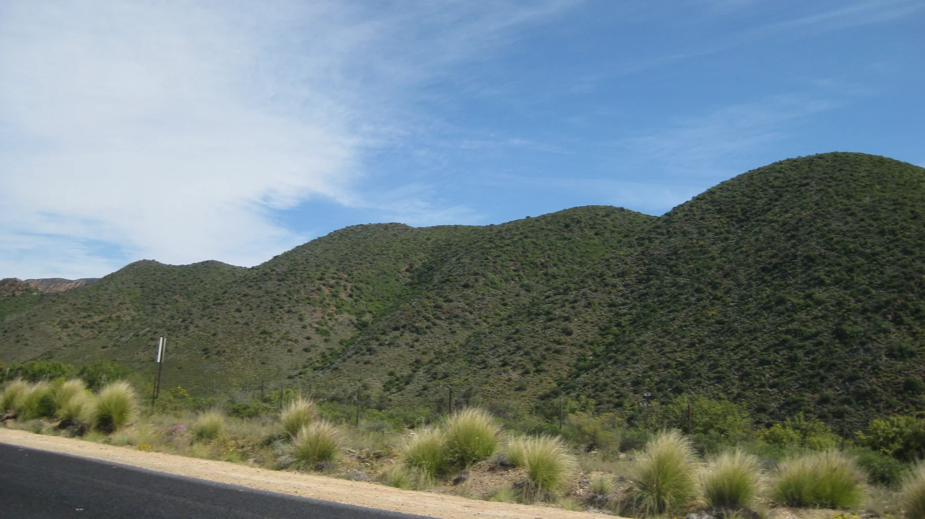 Rounded green hills rise beside a paved roadside.