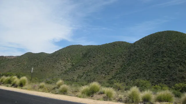 Rounded green hills rise beside a paved roadside.