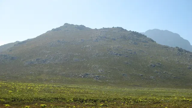 A broad stony mountain rises from low flowering scrub.