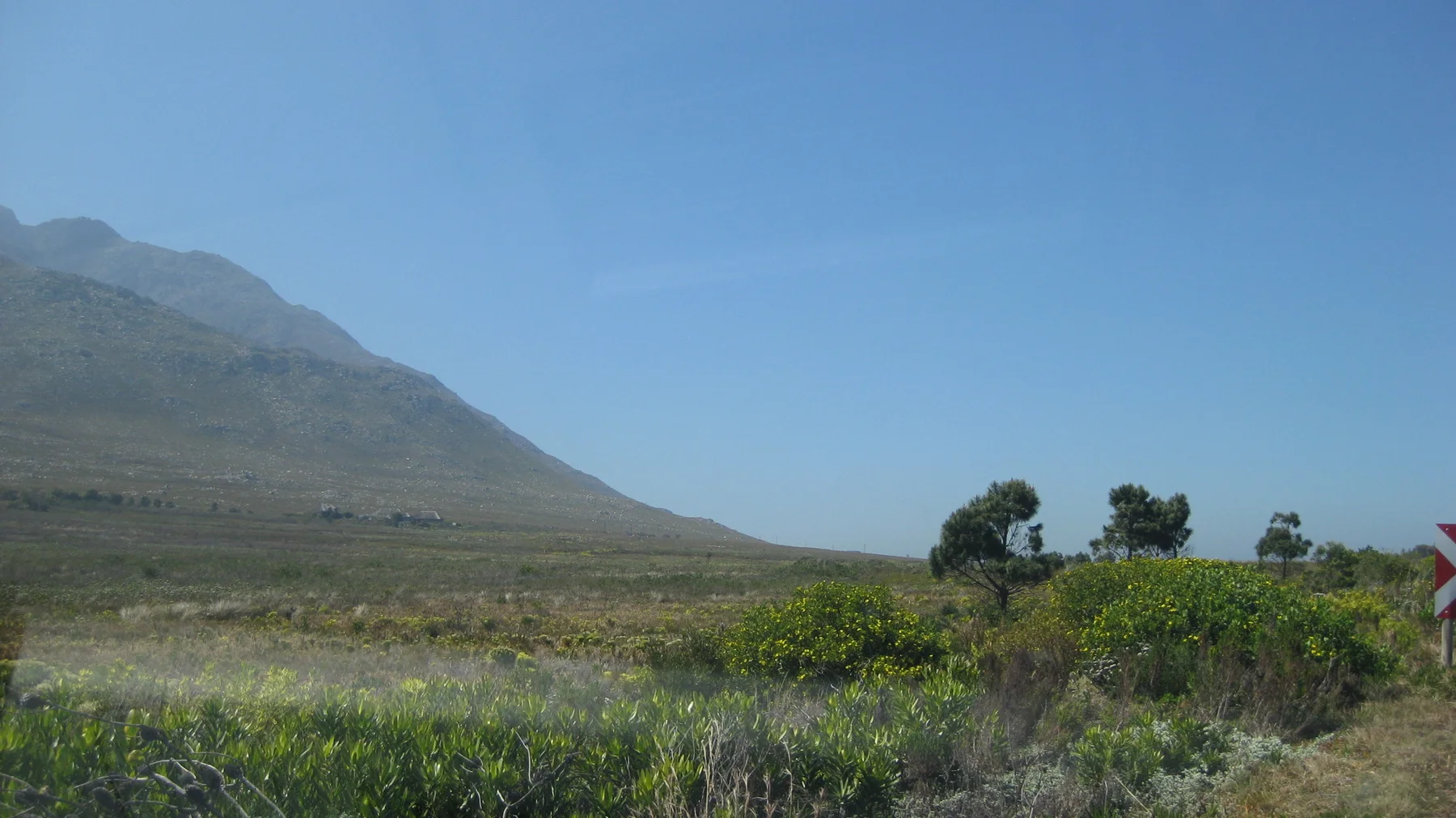 A large mountain rises beside open scrub and scattered trees.