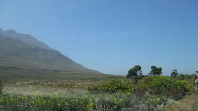 A large mountain rises beside open scrub and scattered trees.