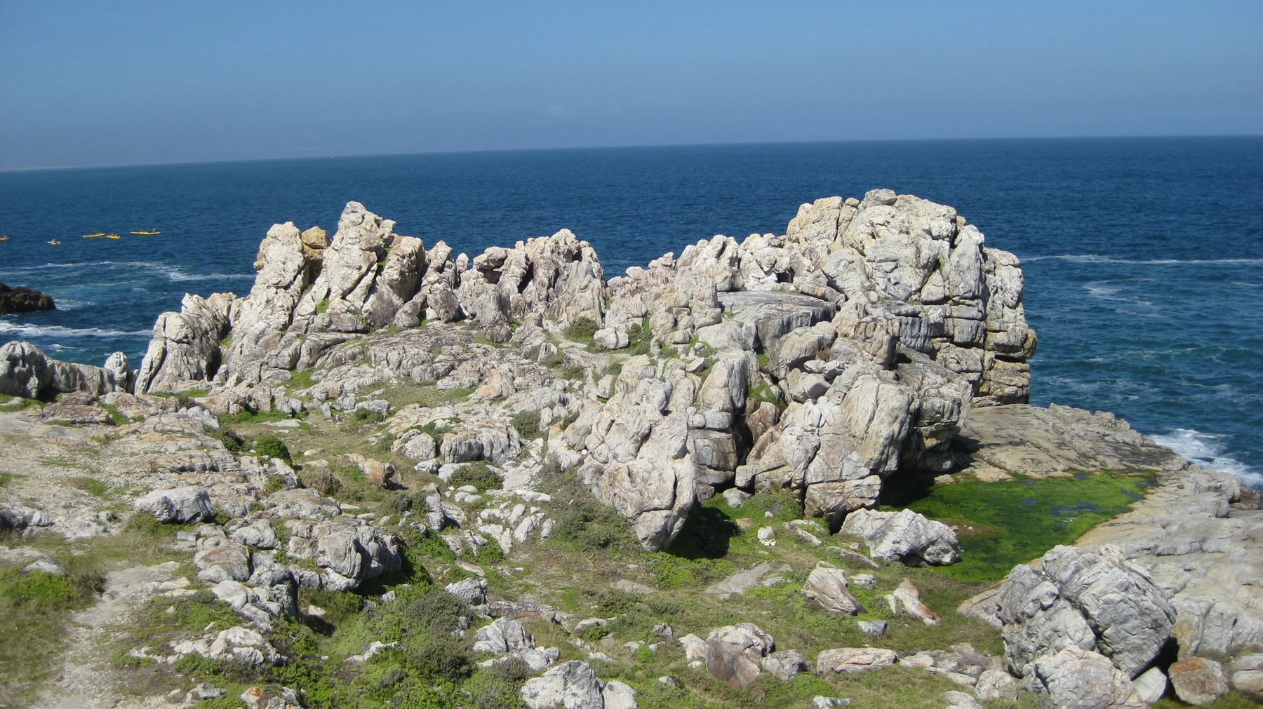 Jagged pale rocks stand among low green coastal plants.