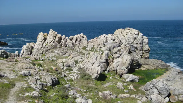 Jagged pale rocks stand among low green coastal plants.