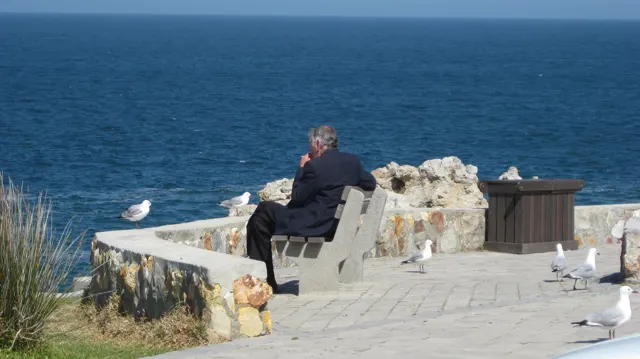 A person sits on a seaside bench near gulls and a bin.