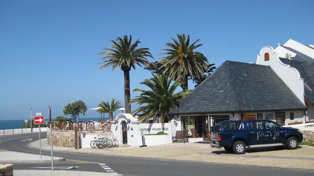 Tall palms rise beside a thatched roadside building.