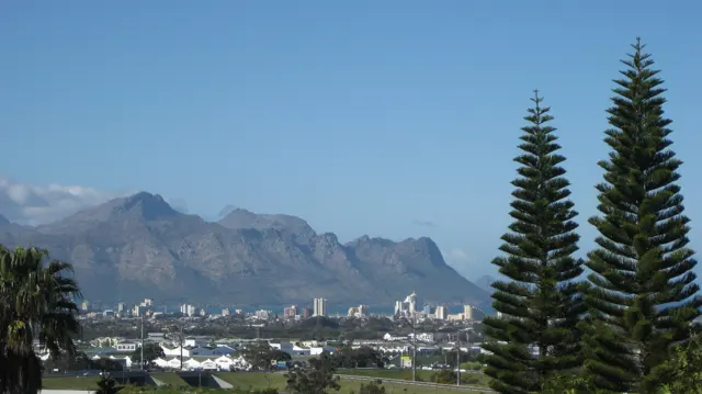 Two tall conifers frame town buildings and a rocky range.