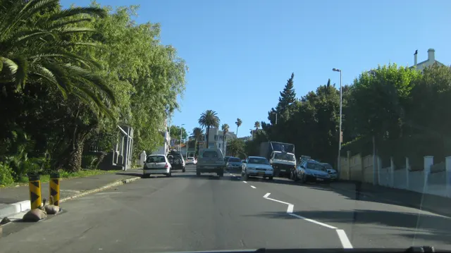 Palms and dense trees line a road with parked vehicles.