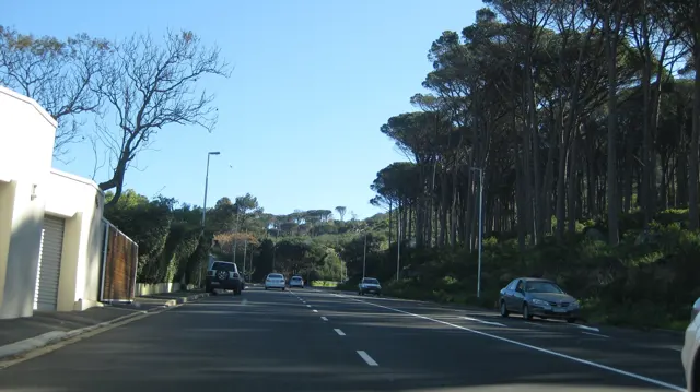 A road passes pale walls and a line of tall pines.