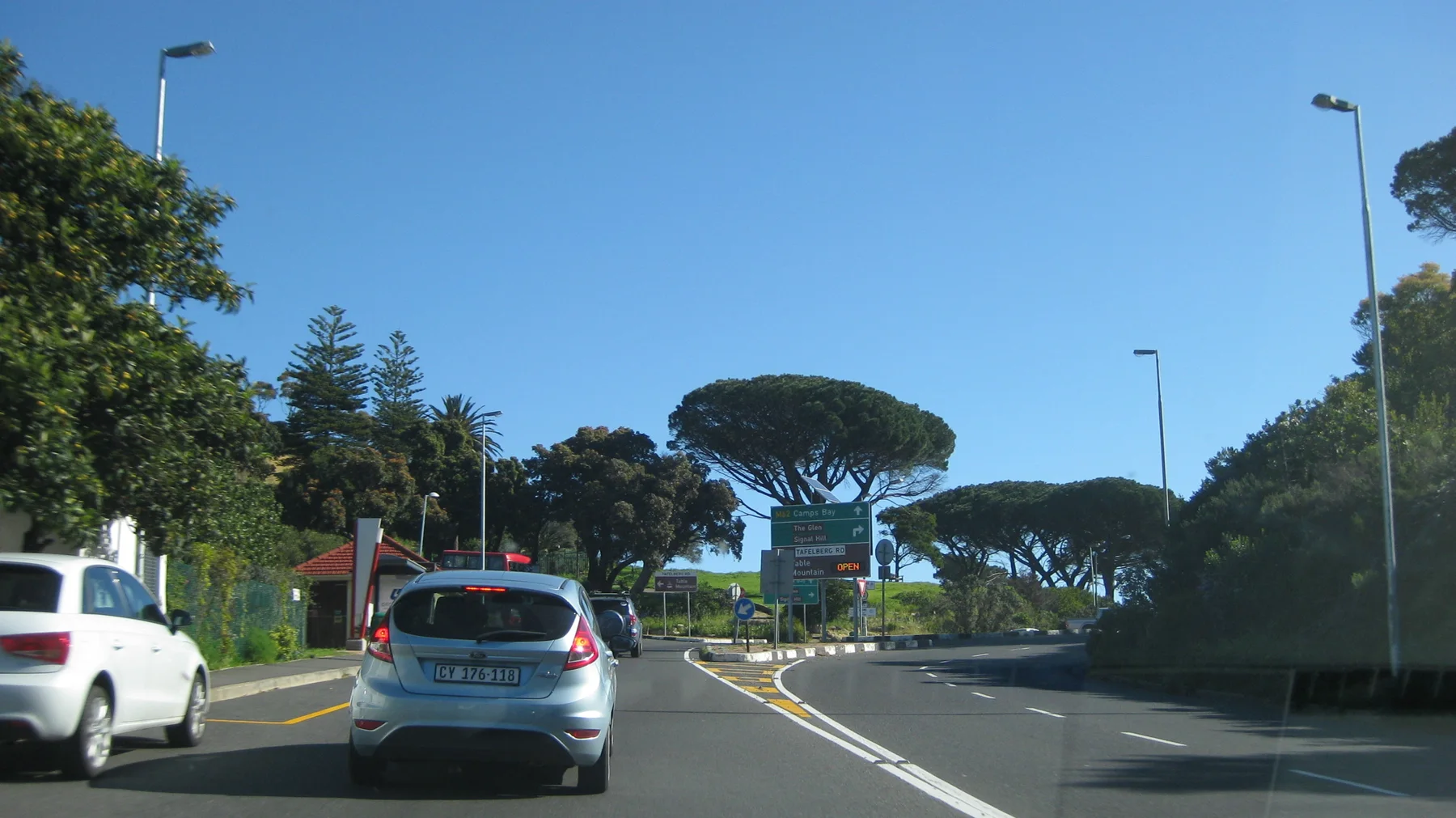 Cars approach a junction beside a broad rounded pine.