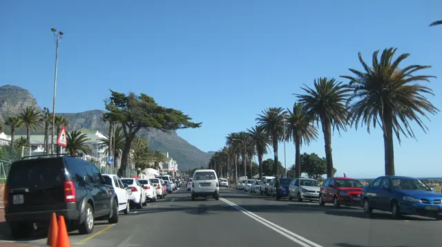 Parked cars line a road bordered by tall palms near the sea.