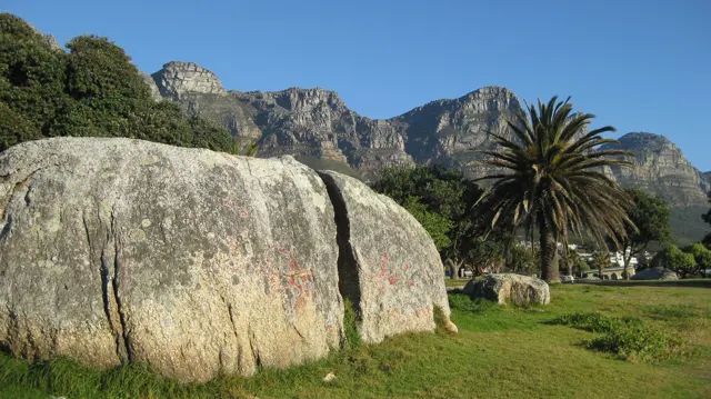 A large rounded boulder stands on grass beside a palm.