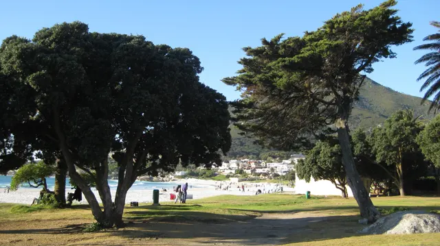 Trees shade a green lawn with bright beach beyond.