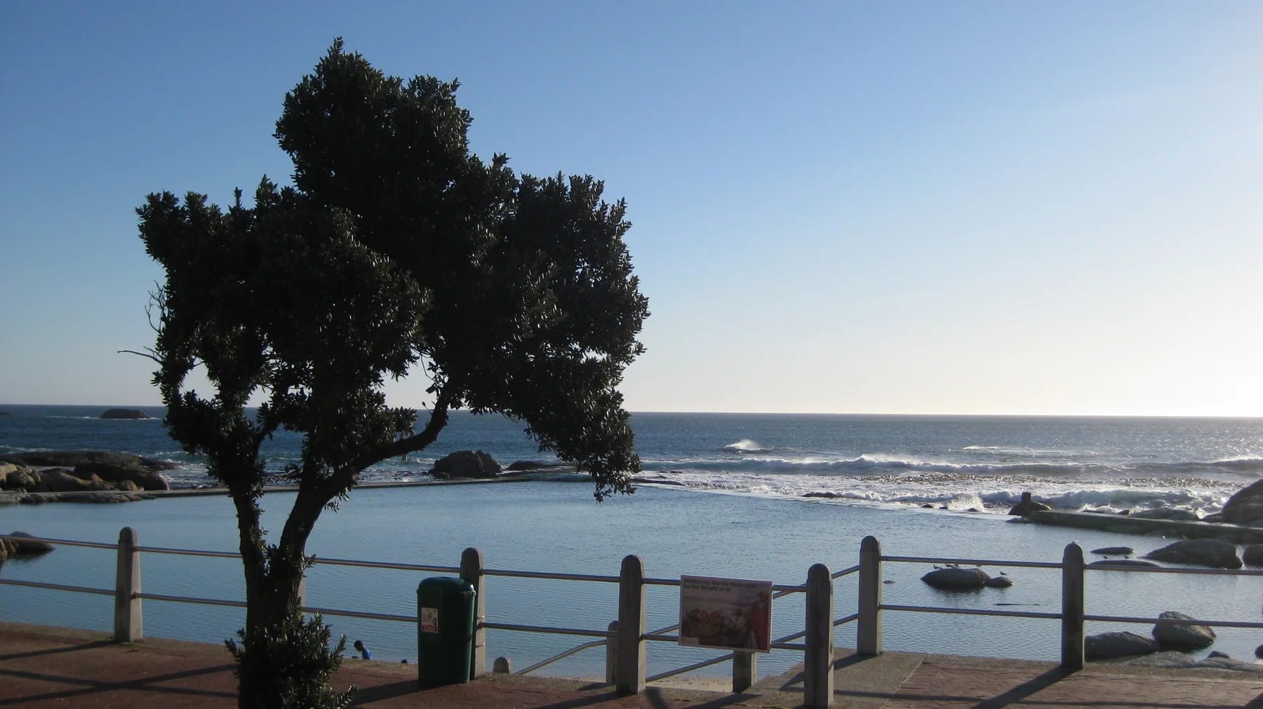 A dark tree stands beside railings and shallow coastal water.