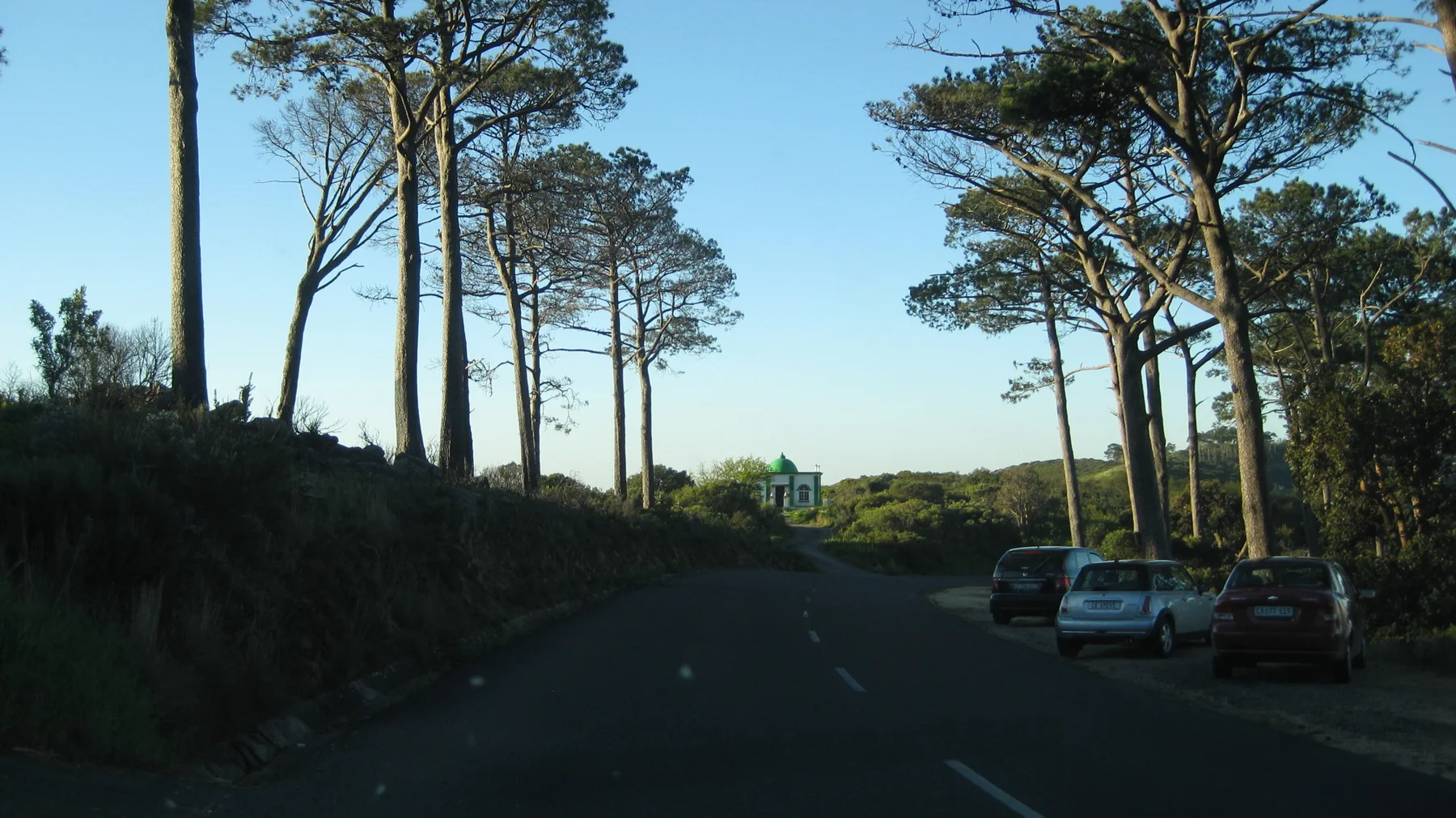 Tall pine trunks border a shaded road with parked cars.