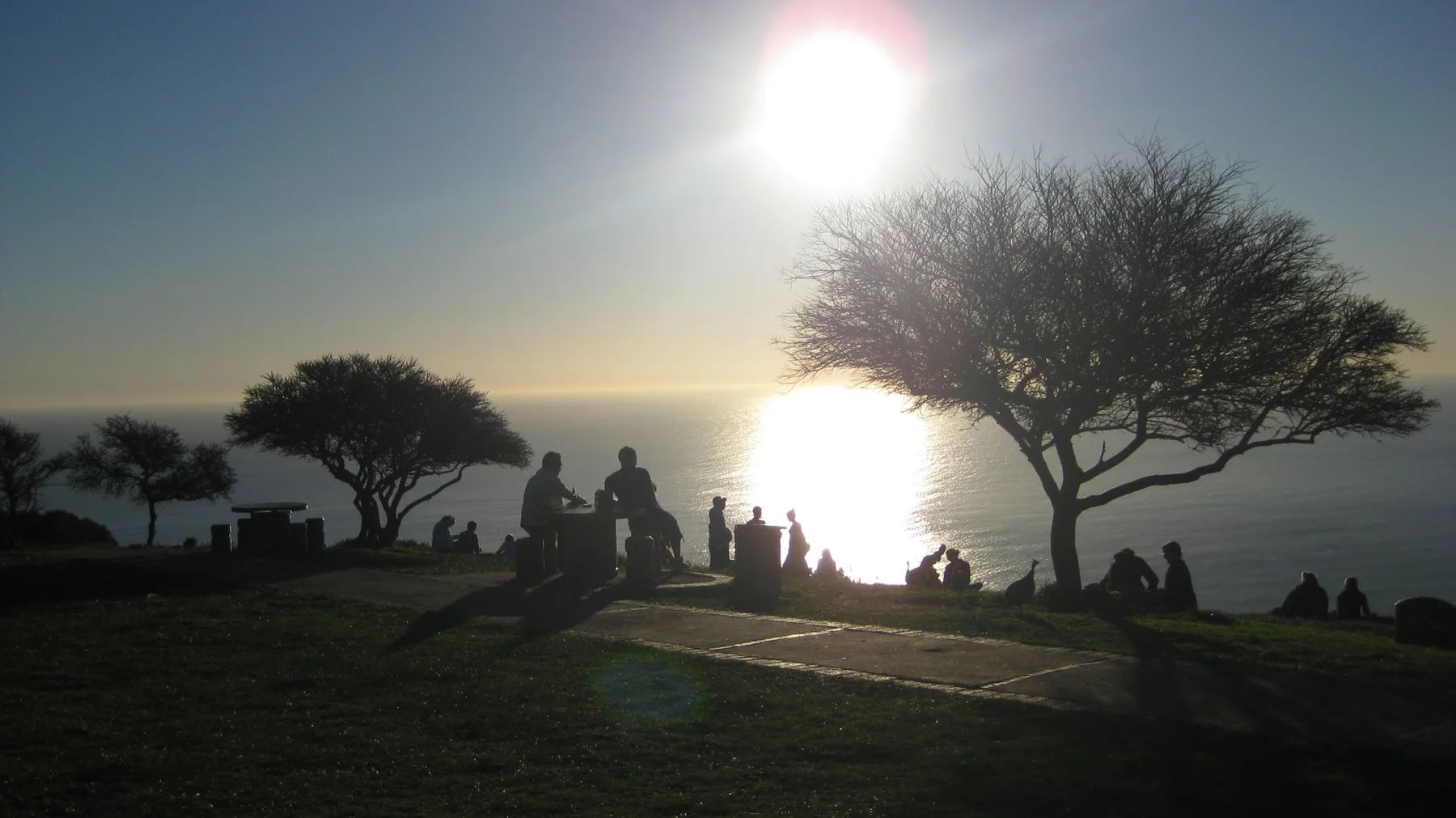 People and trees silhouette against bright sunlight on the ocean.