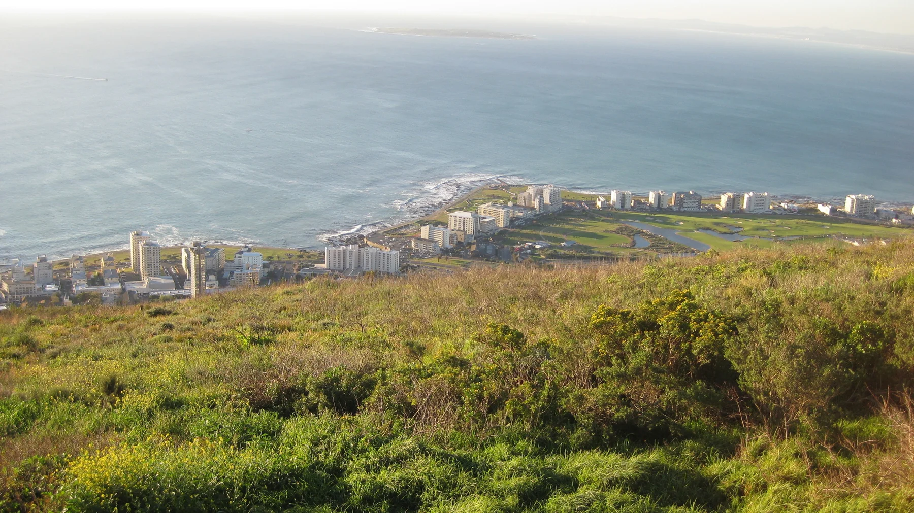A grassy hillside overlooks a row of coastal buildings and blue sea.