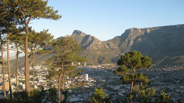 Pine trees frame a mountain ridge and dense city below.