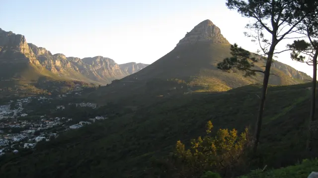 A pointed peak rises beyond a pine and dark green slope.