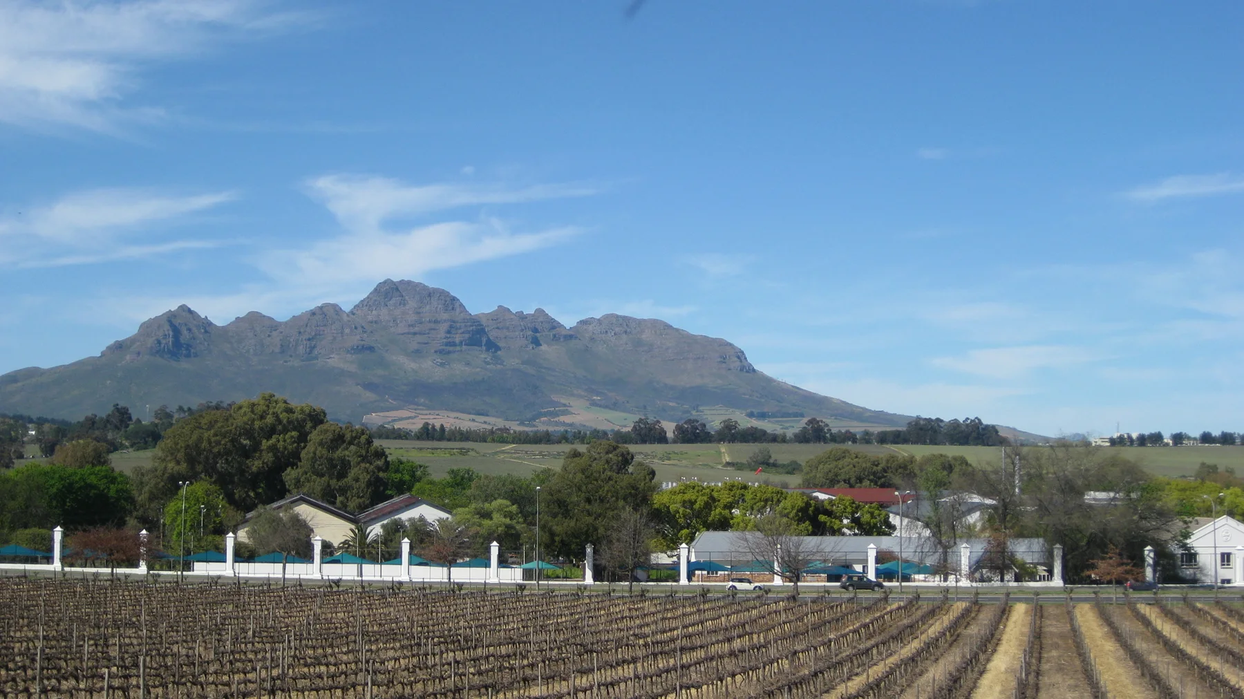 Orderly vineyard rows lead toward farm buildings and mountains.