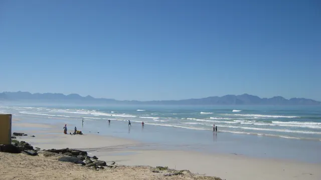 People walk and stand along a shallow sandy shoreline.