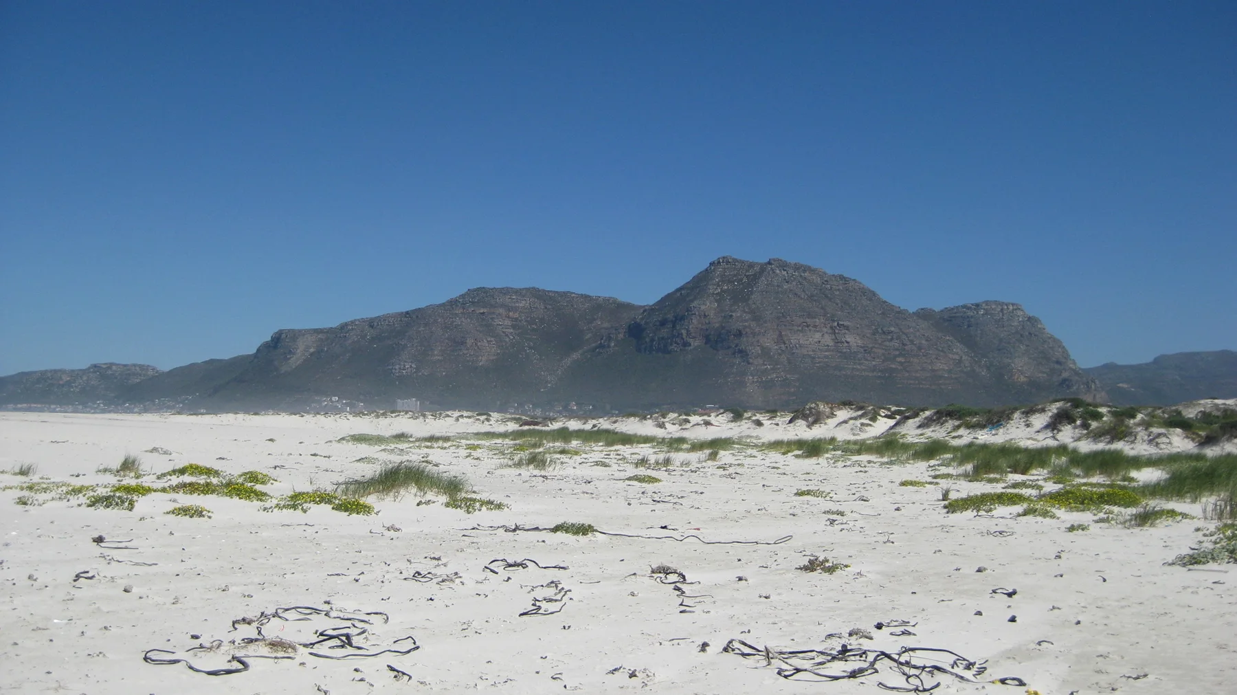 A rugged mountain rises beyond white dunes and sparse plants.