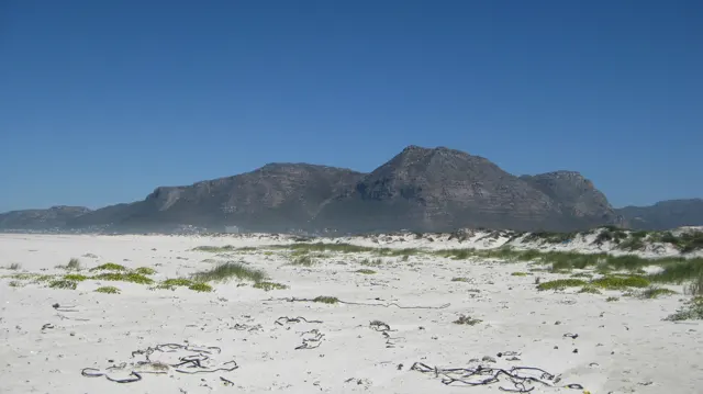 A rugged mountain rises beyond white dunes and sparse plants.