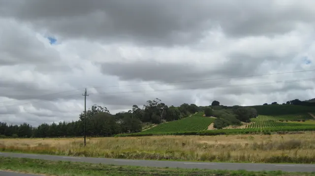 Green fields and scattered trees lie beneath heavy dark clouds.