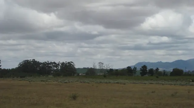 A dry open field stretches below gray clouds and scattered trees.