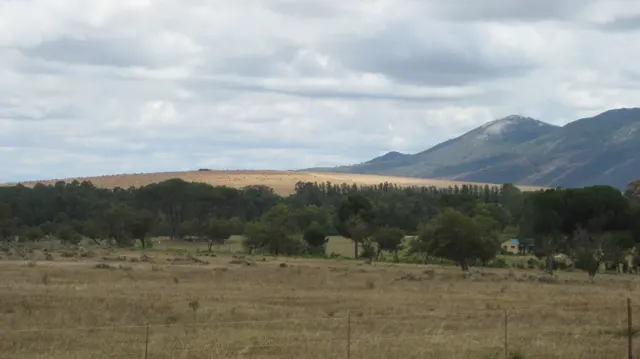 A mountain rises behind fields and a line of trees.