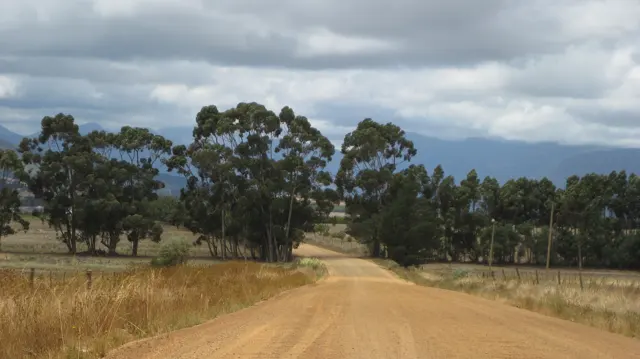 A dirt road descends past tall roadside trees.