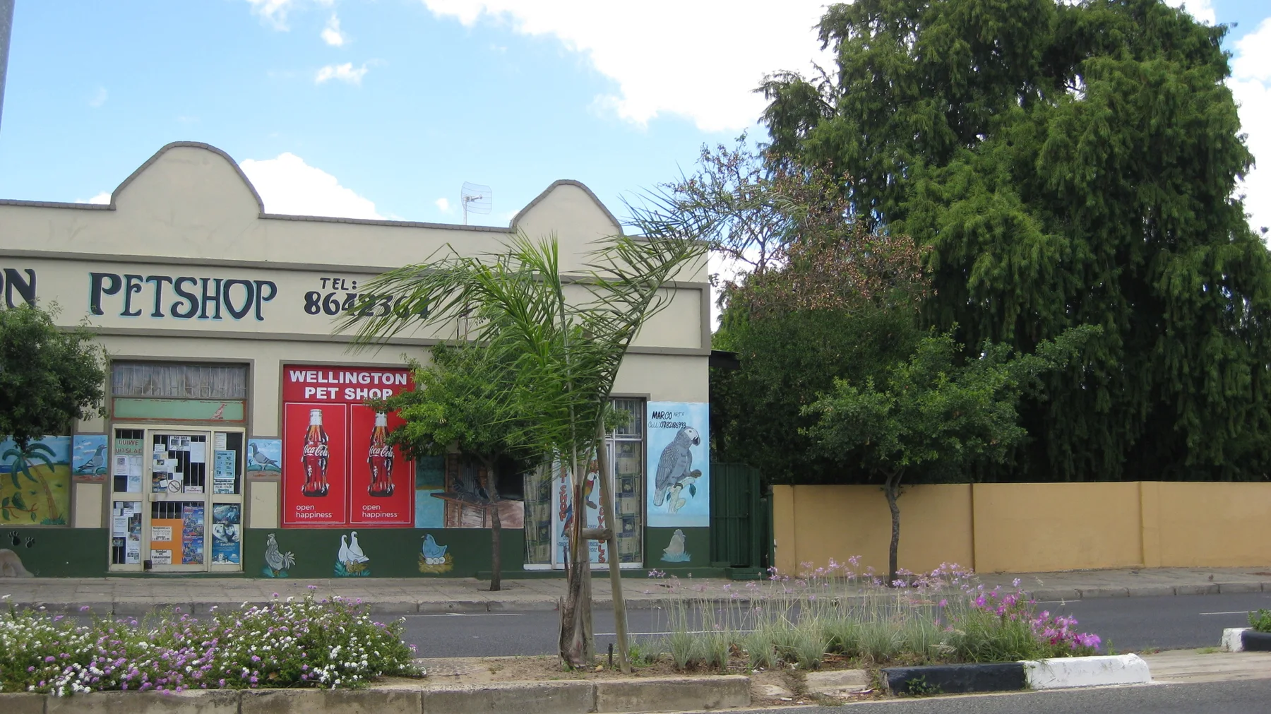 A pale pet shop facade faces a planted roadside strip.