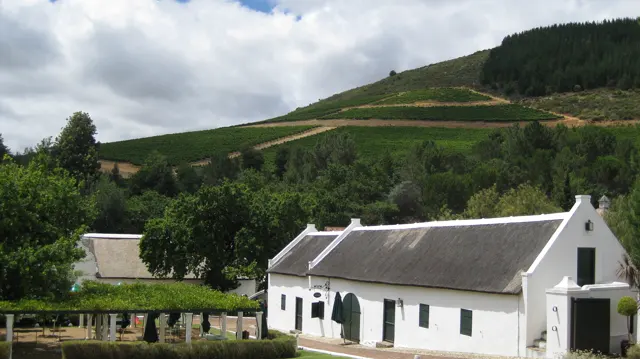 White farm buildings stand beneath cultivated green slopes.