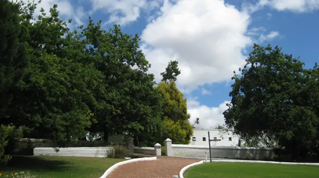 A curved driveway passes mature trees toward a white building.