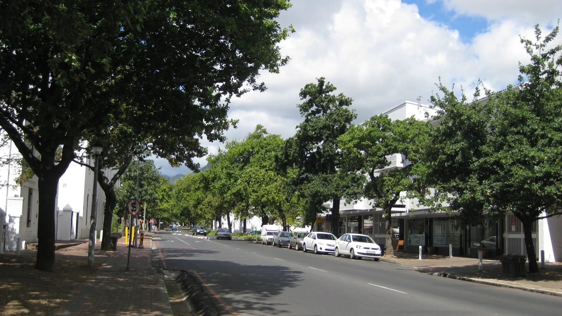 Parked cars line a leafy street beside pale buildings.