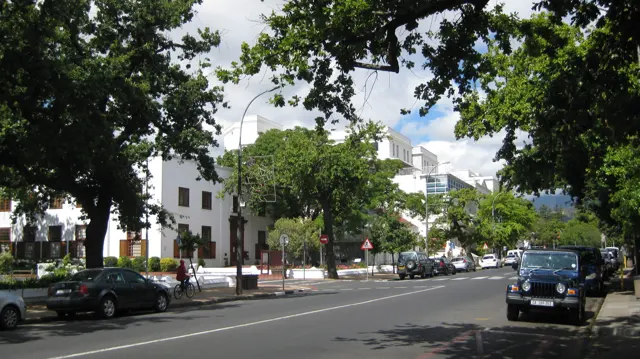Leafy trees shade a broad avenue lined with pale buildings.