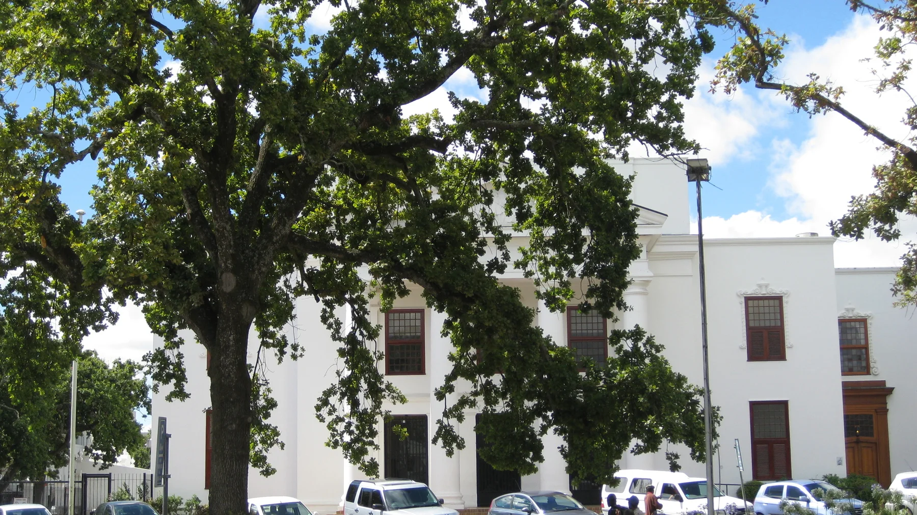 A large tree stands before a plain pale building facade.
