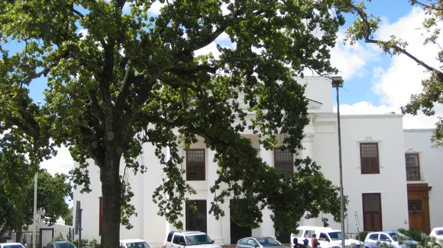 A large tree stands before a plain pale building facade.