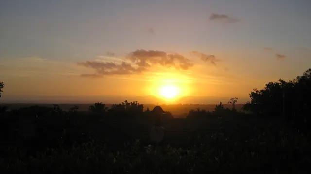 An orange sun glows above dark trees and a distant horizon.