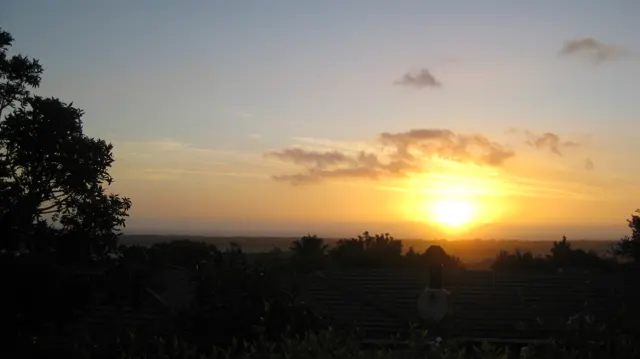 The low sun lights thin clouds beside dark tree silhouettes.