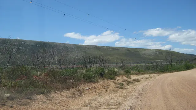 A dirt road follows low slopes with sparse dark stems.