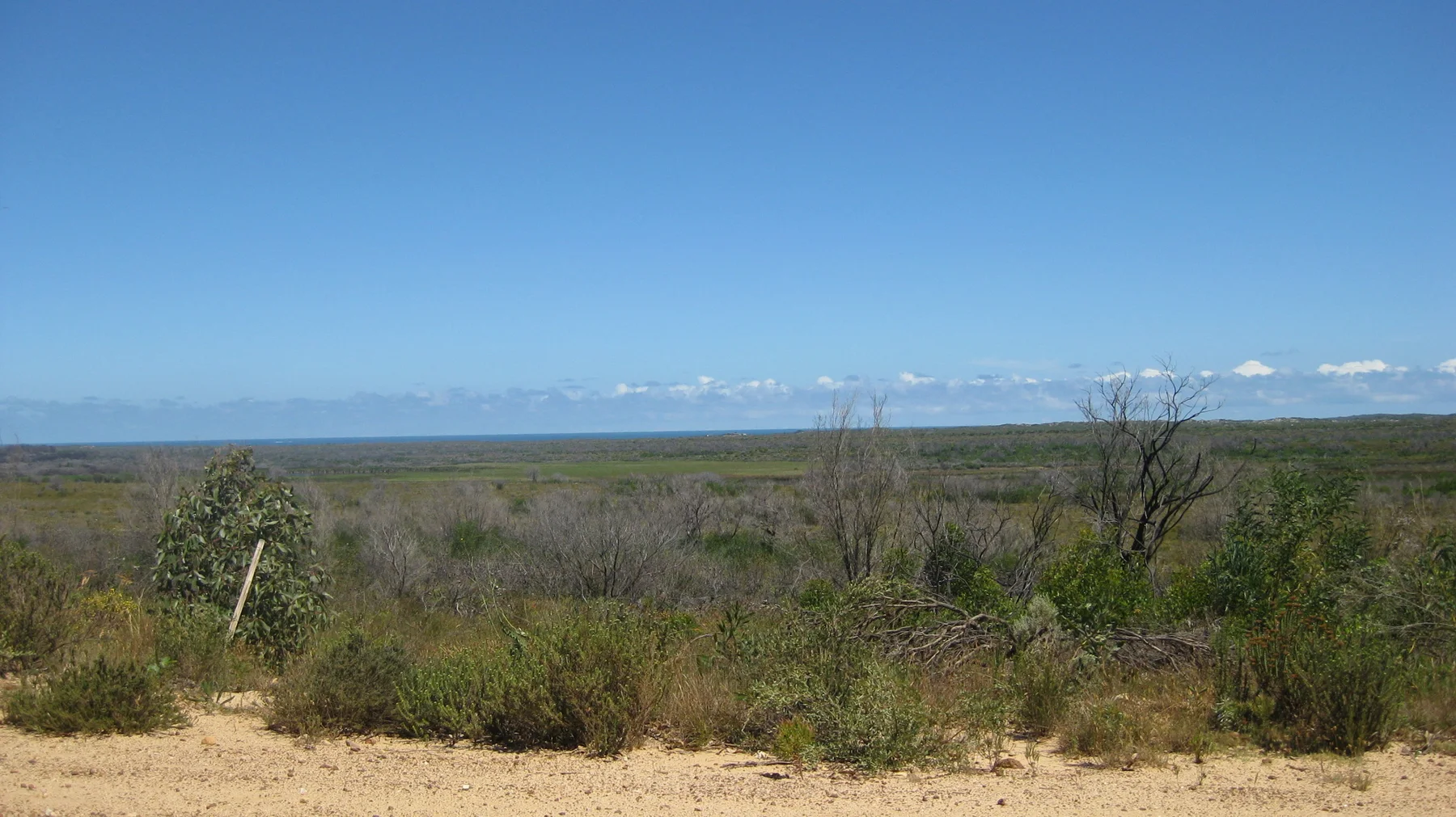 Low shrubs spread across a broad plain beyond a sandy verge.
