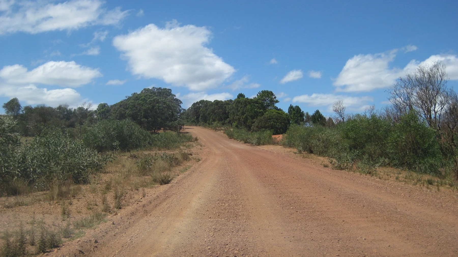 A red dirt road curves between low shrubs and trees.