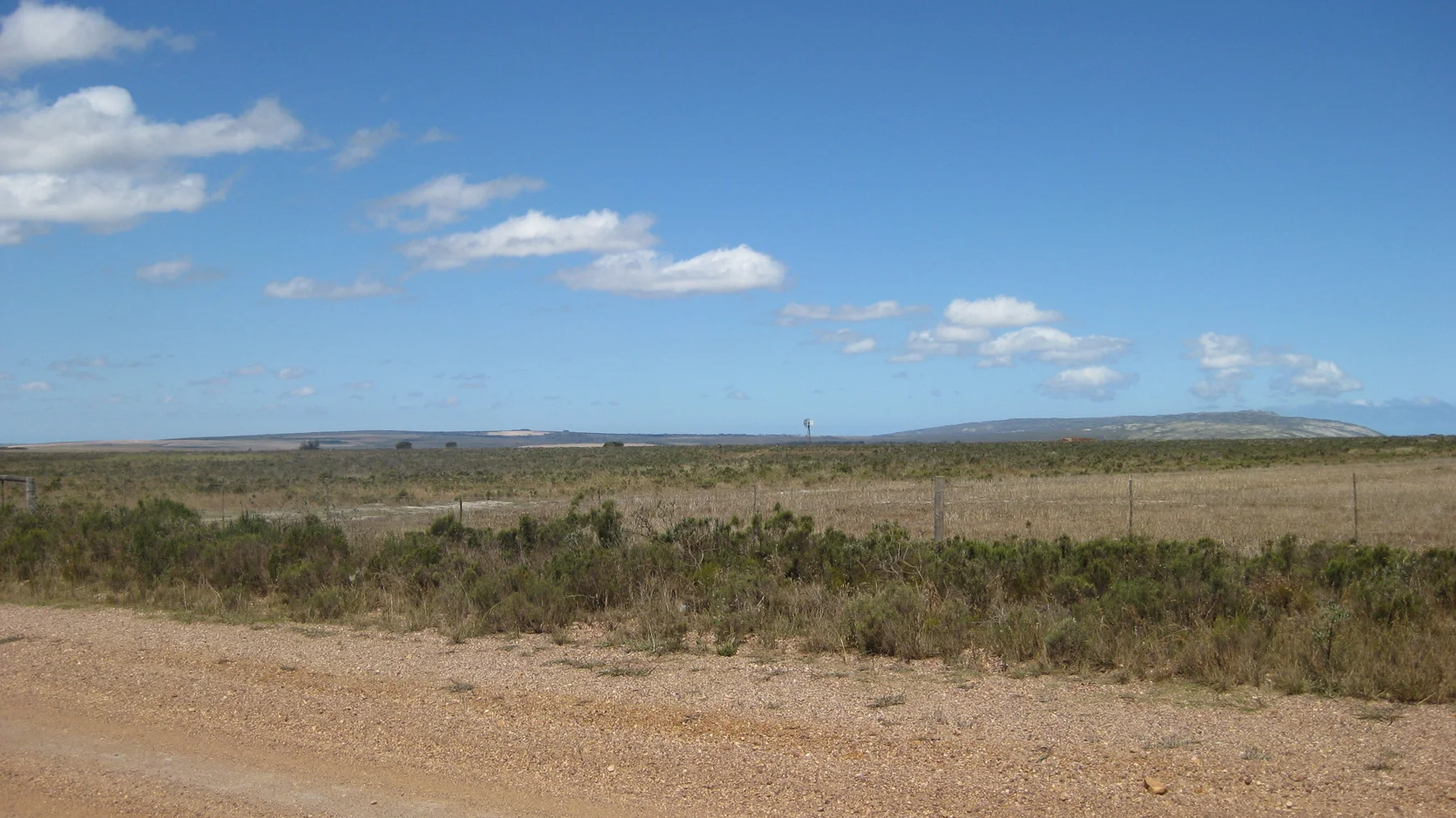 Dry open ground stretches beyond a broad dirt roadside.