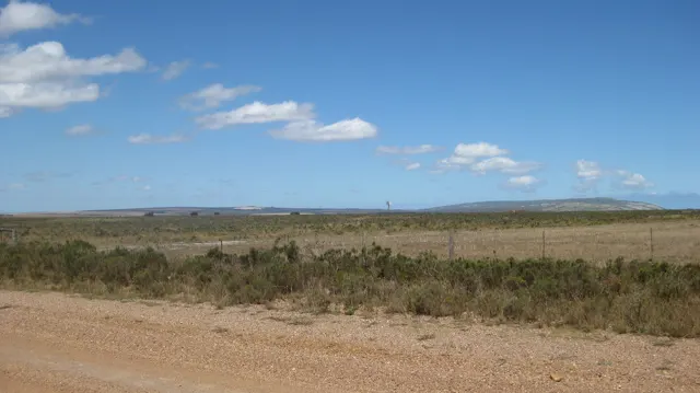 Dry open ground stretches beyond a broad dirt roadside.