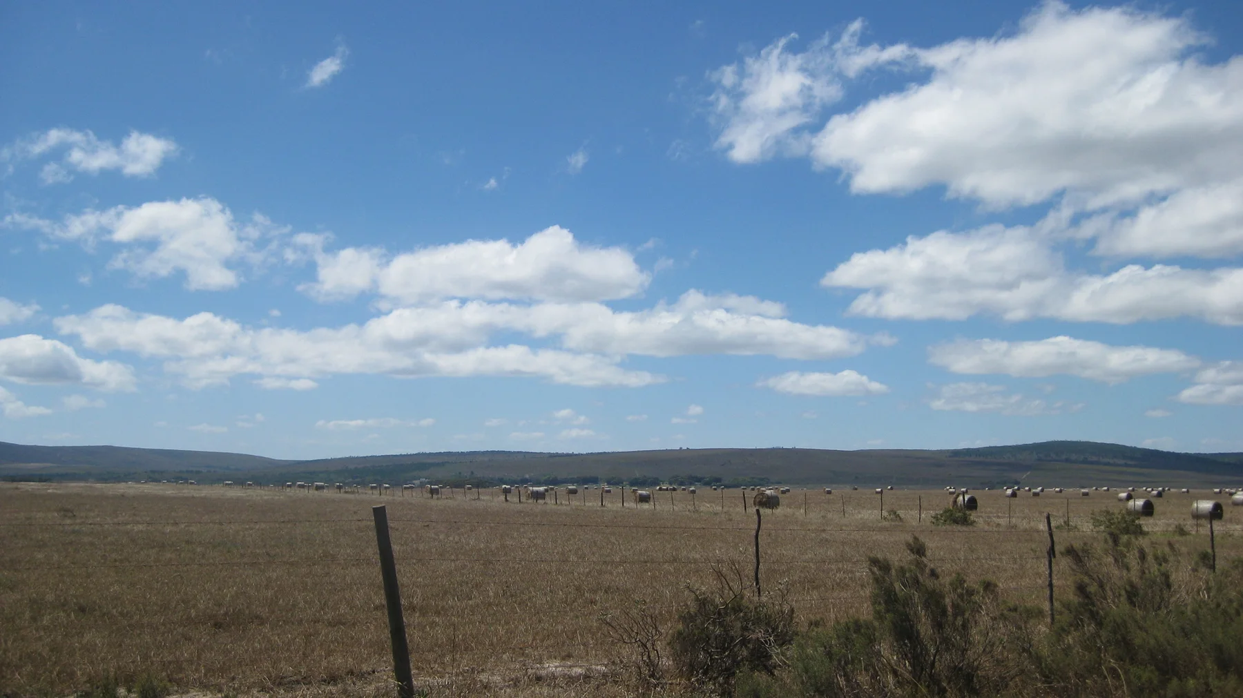 Fence posts cross a dry field beneath small white clouds.